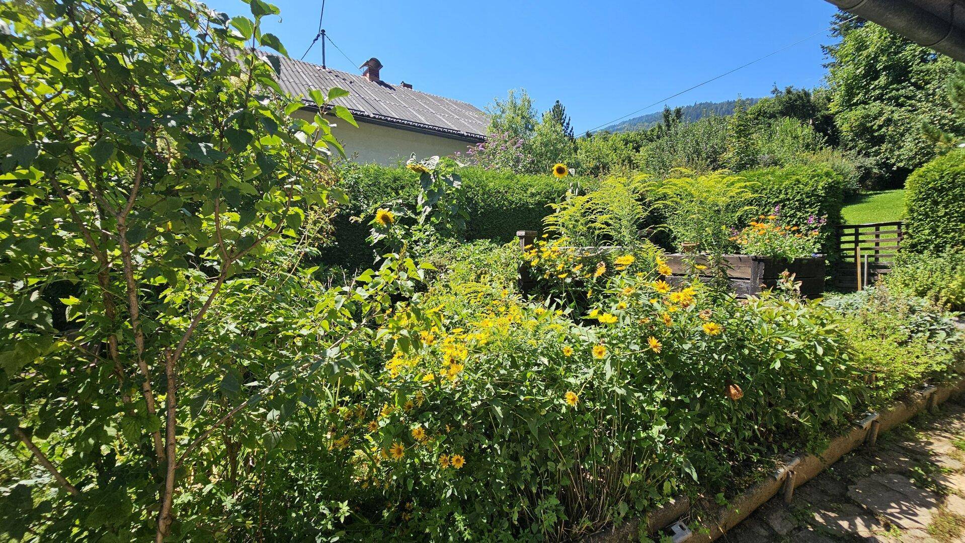 Außenansicht - Garten - Haus - Radenthein - kaufen