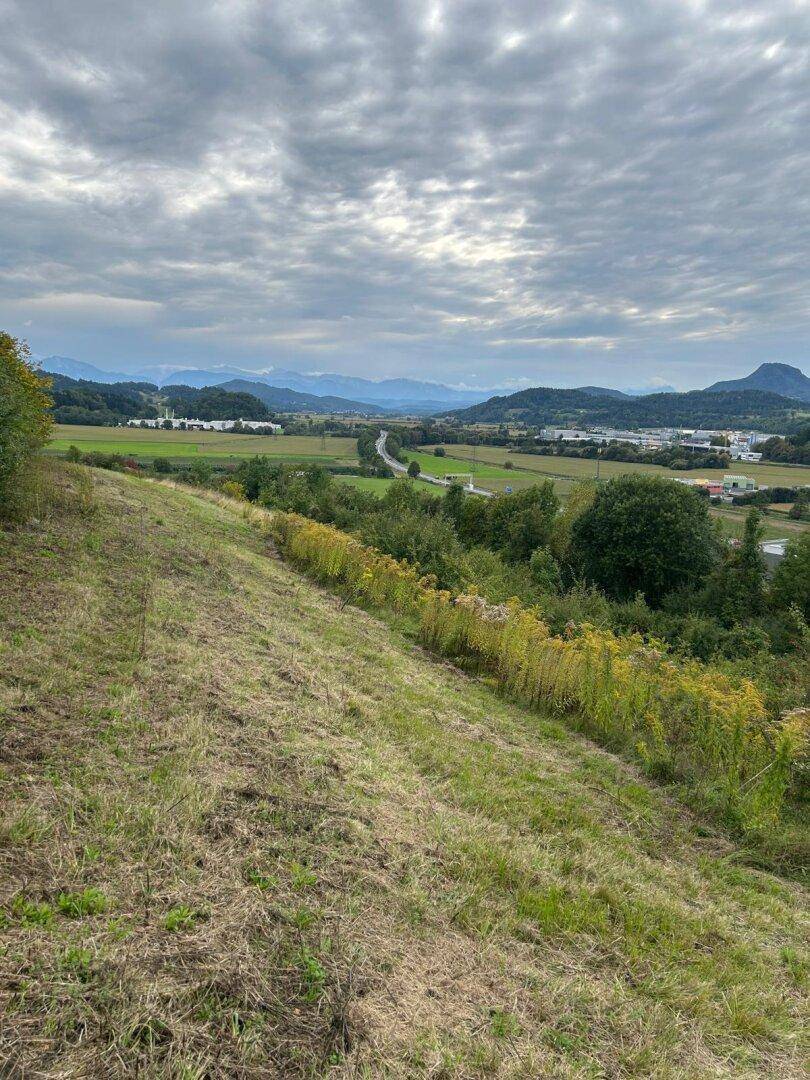 Weitläufige Landschaft mit grünen Feldern, bewölktem Himmel und Bergen in der Ferne.