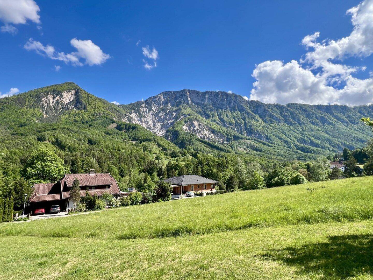 Sonniges Baugrundstück für Naturliebhaber - Ansicht 3