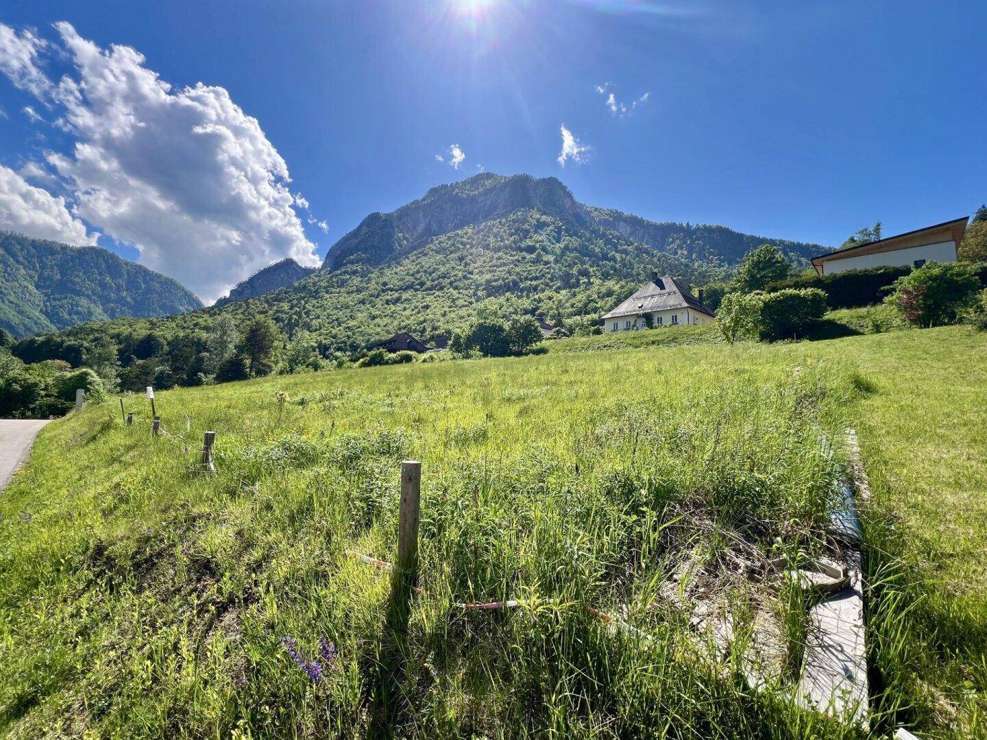 Sonnige Berglandschaft mit grünen Wiesen, einem Haus und einer Straße im Vordergrund unter blauem Himmel.