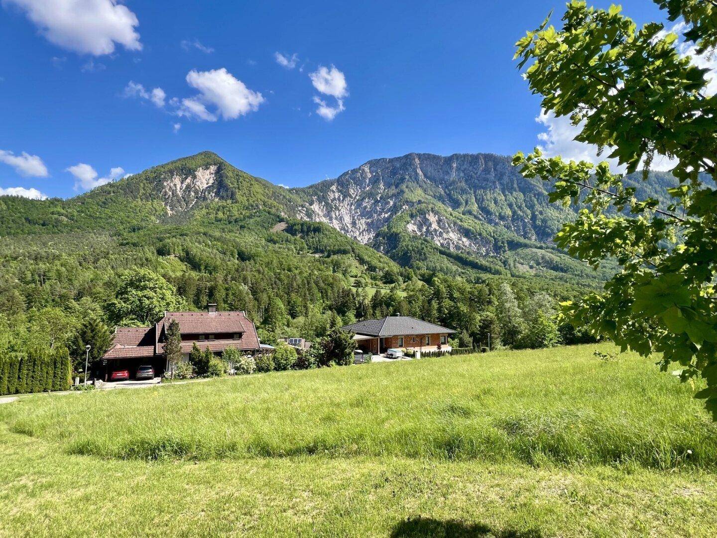 Zwei Häuser in einer grünen Berglandschaft mit einem Baum im Vordergrund unter blauem Himmel.