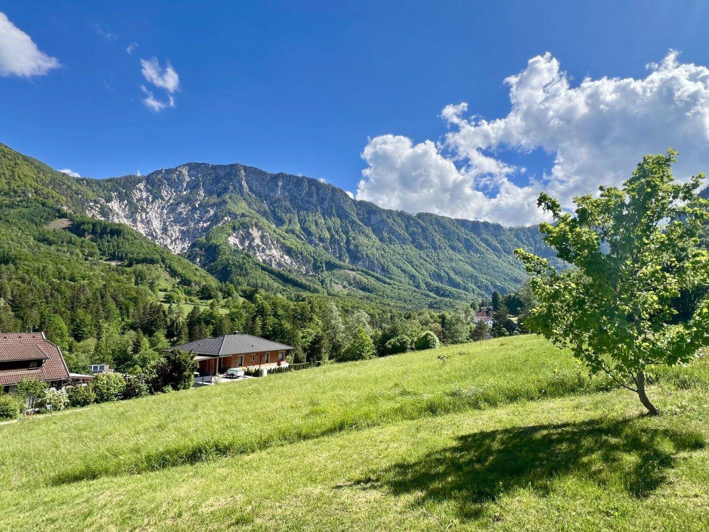 Haus in einer malerischen Berglandschaft mit grünen Wiesen und einem einzelnen Baum im Vordergrund.