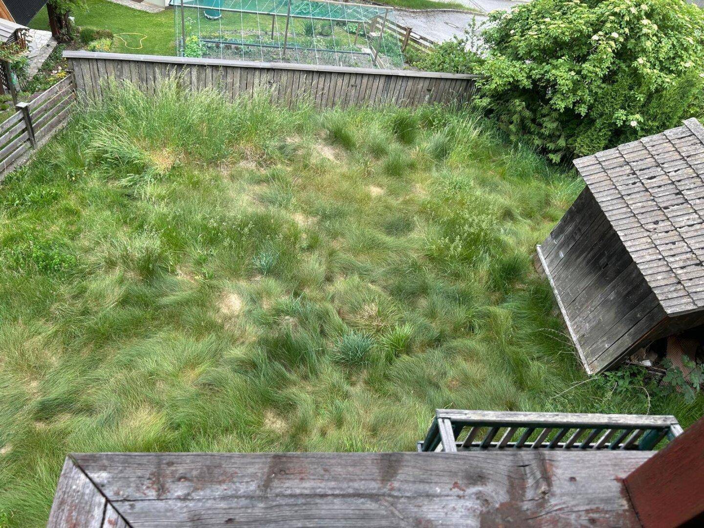 Ungepflegter Gartenbereich mit hohem Gras und einem kleinen Holzschuppen, umgeben von einem Holzzaun.