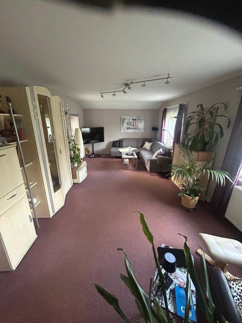 Helles Wohnzimmer mit Sofa, Fernseher und vielen Pflanzen.