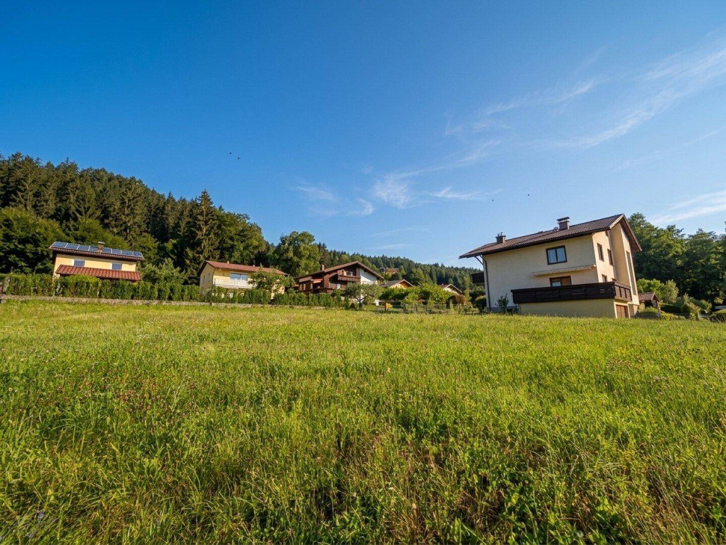 Sonniges Baugrundstück umgeben von Natur, mit Blick auf den Wald und die umliegende Wohnbebauung.