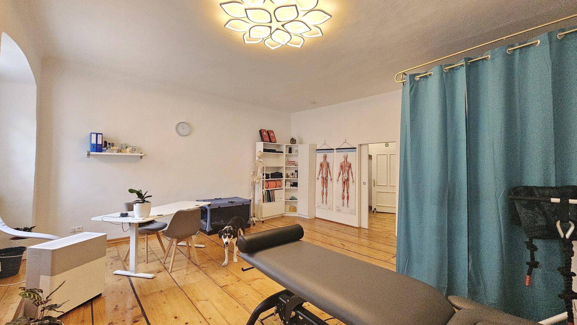 Behandlungsraum mit Holzdielen, weiß gestrichenen Wänden und einem modernen Deckenlichtdesign.