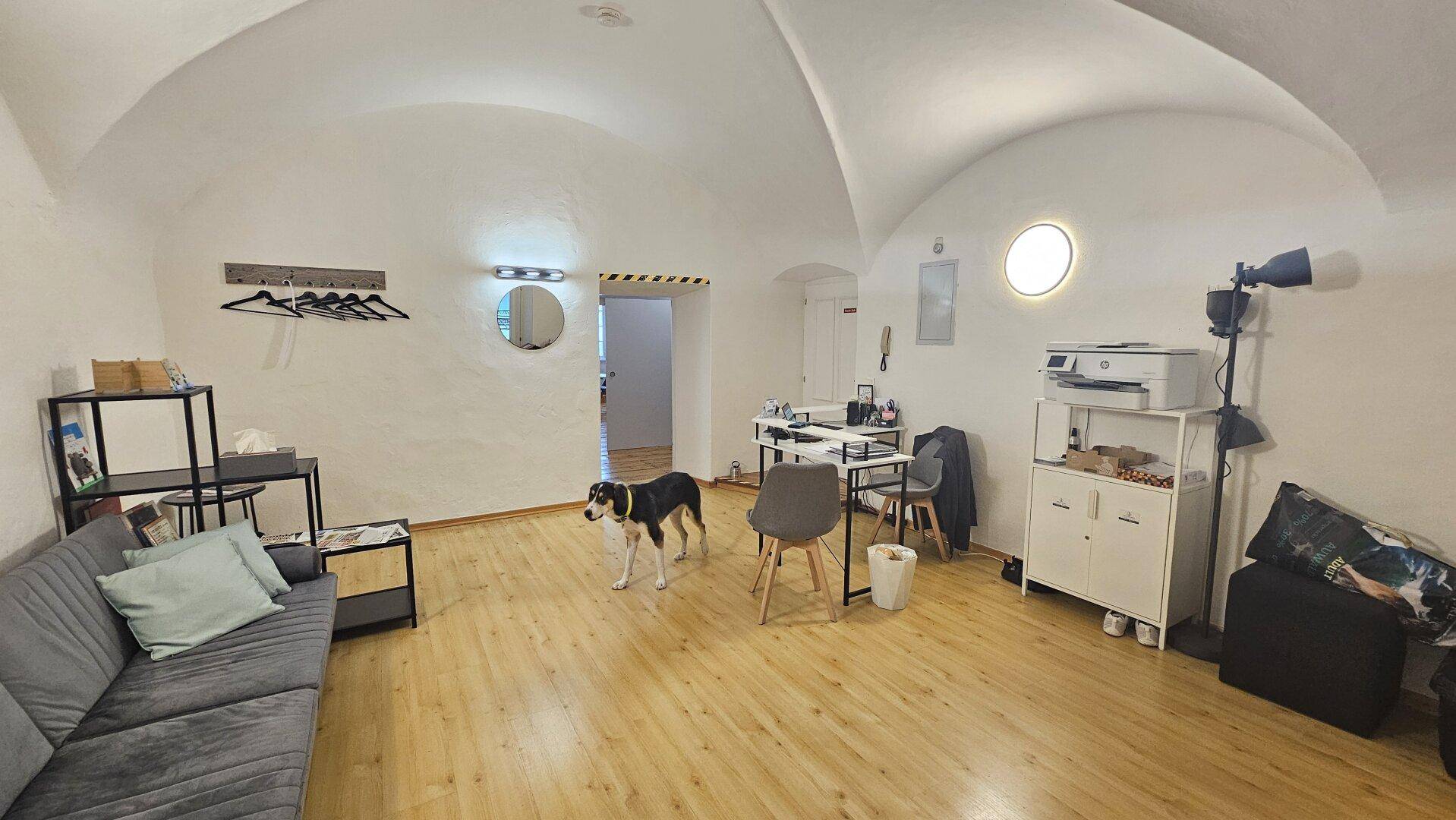 Großer Empfangsraum mit gewölbter Decke, bequemer Couch und einem Drucker auf einem Sideboard.