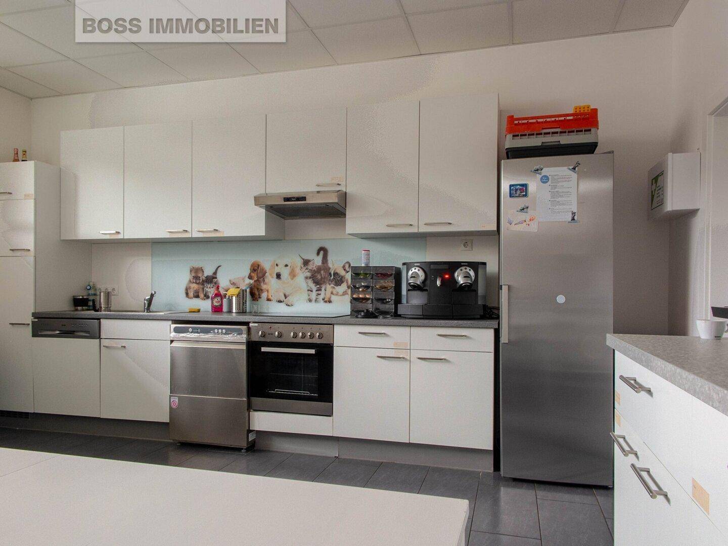 Funktionale Küche mit weißen Schränken, Edelstahlgeräten und einem verspielten Fliesenspiegel mit Tiermotiven.