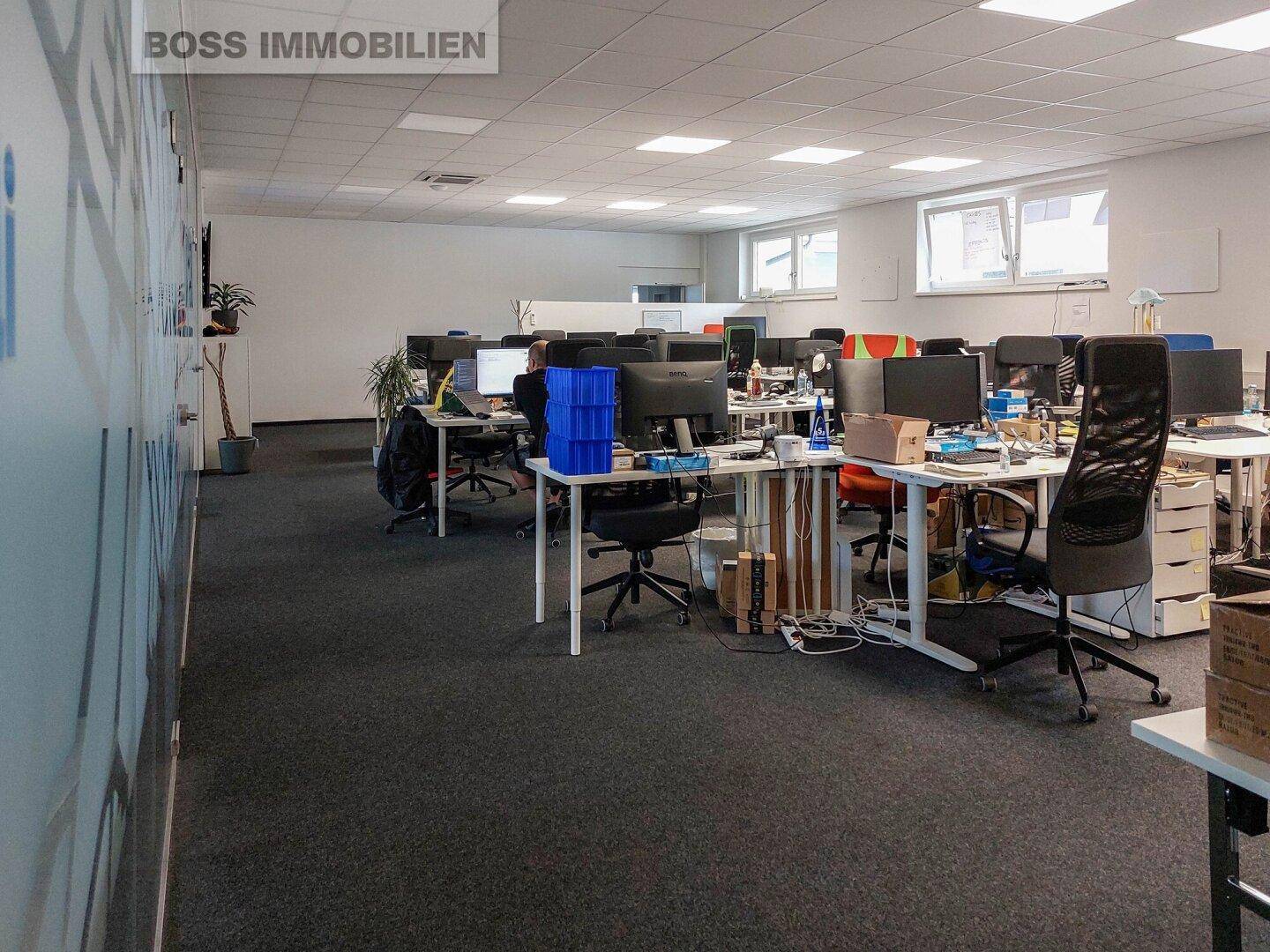 Geräumiges Großraumbüro mit zahlreichen Arbeitsplätzen, Pflanzen und moderner Einrichtung.