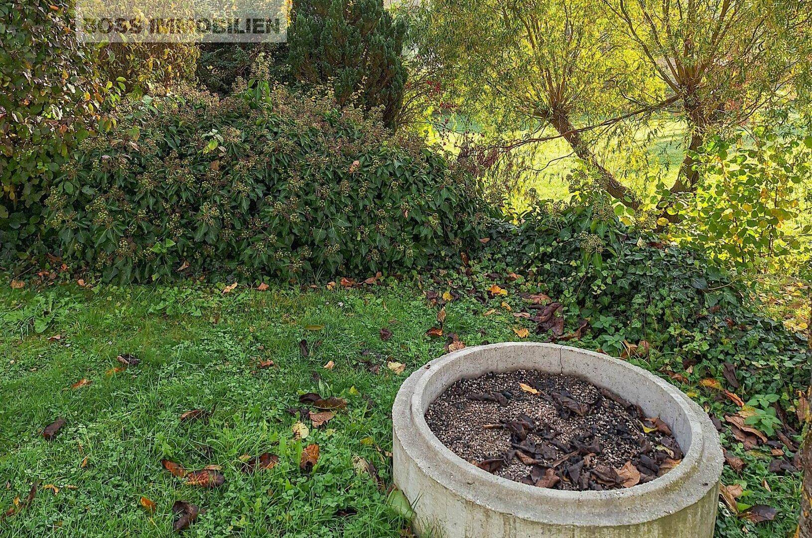 Naturnahes Paradies | Schrebergarten mit Gartenhütte - Ansicht 5