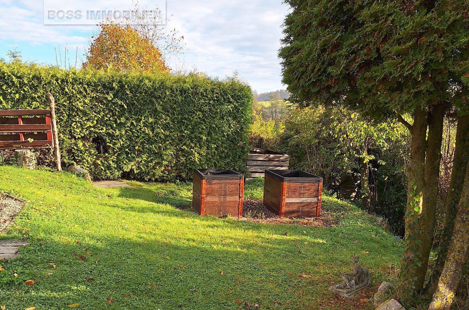 Naturnahes Paradies | Schrebergarten mit Gartenhütte - Ansicht 6