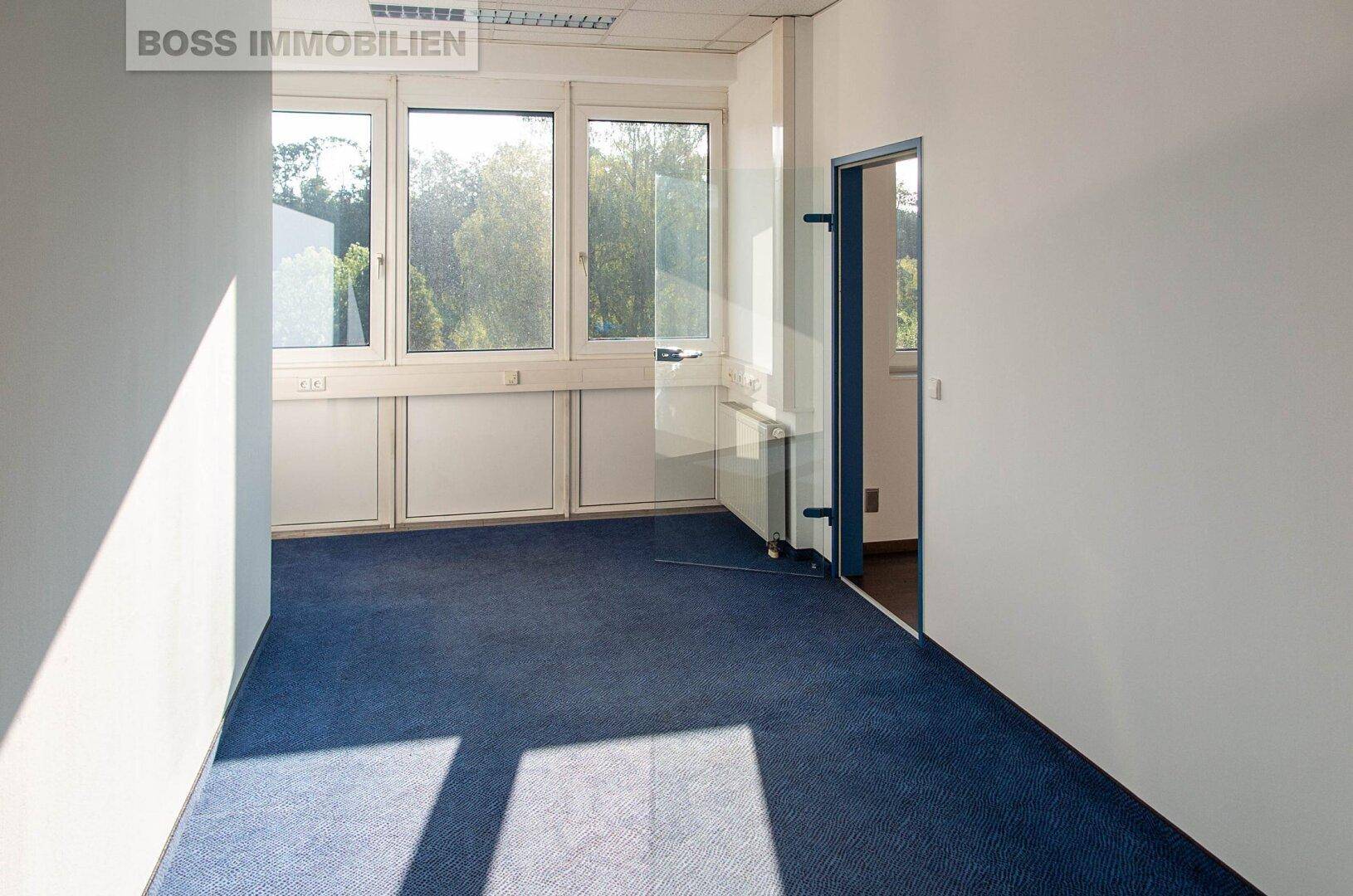 Leerer Büroraum mit blauem Teppichboden, großen Fenstern und Blick ins Grüne.