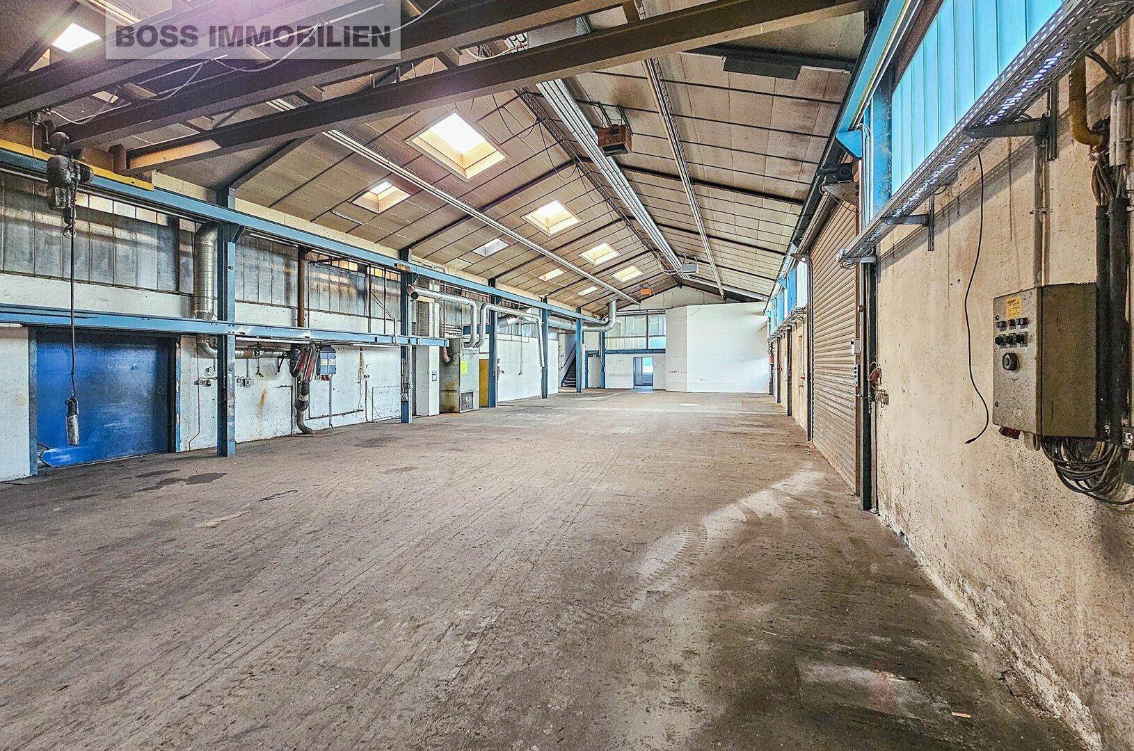 Weitläufige Industriehalle mit Betonboden, hohen Decken und Oberlichtern, ausgestattet mit Rolltoren.
