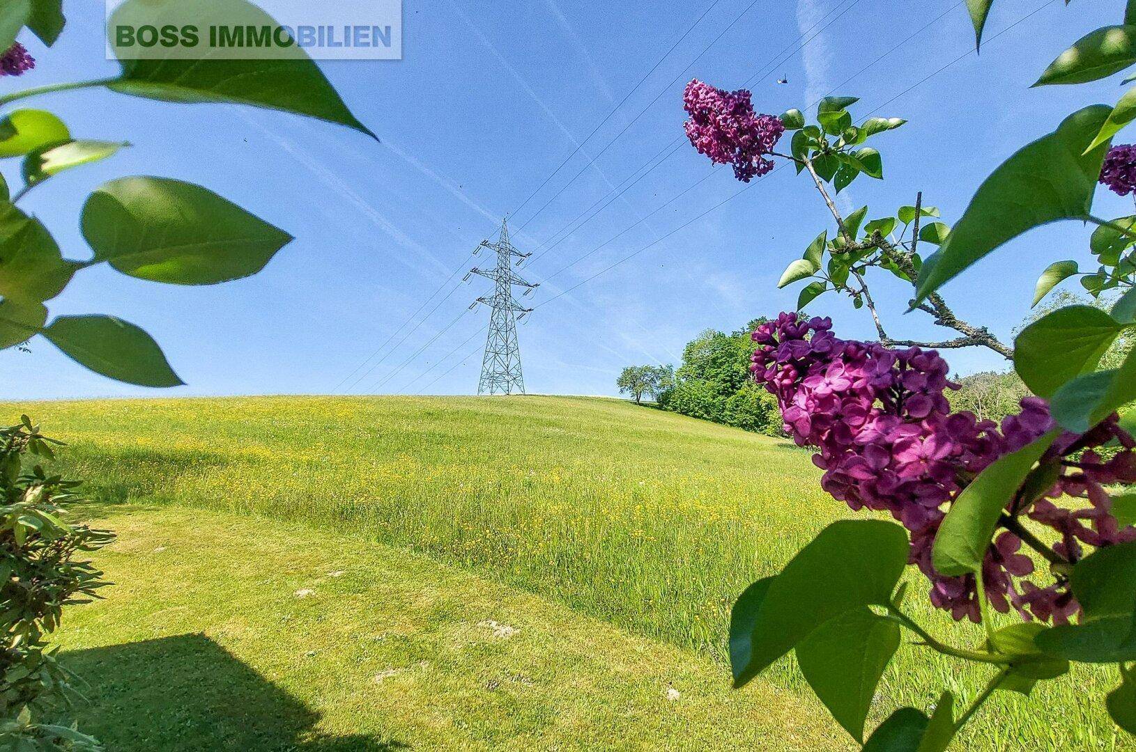 71 Aussicht