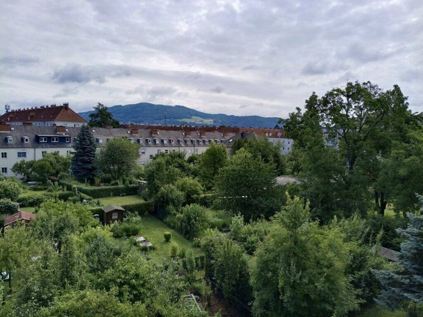 Weitläufiger Blick über grüne Gärten, Wohngebäude und bewaldete Hügel im Hintergrund.