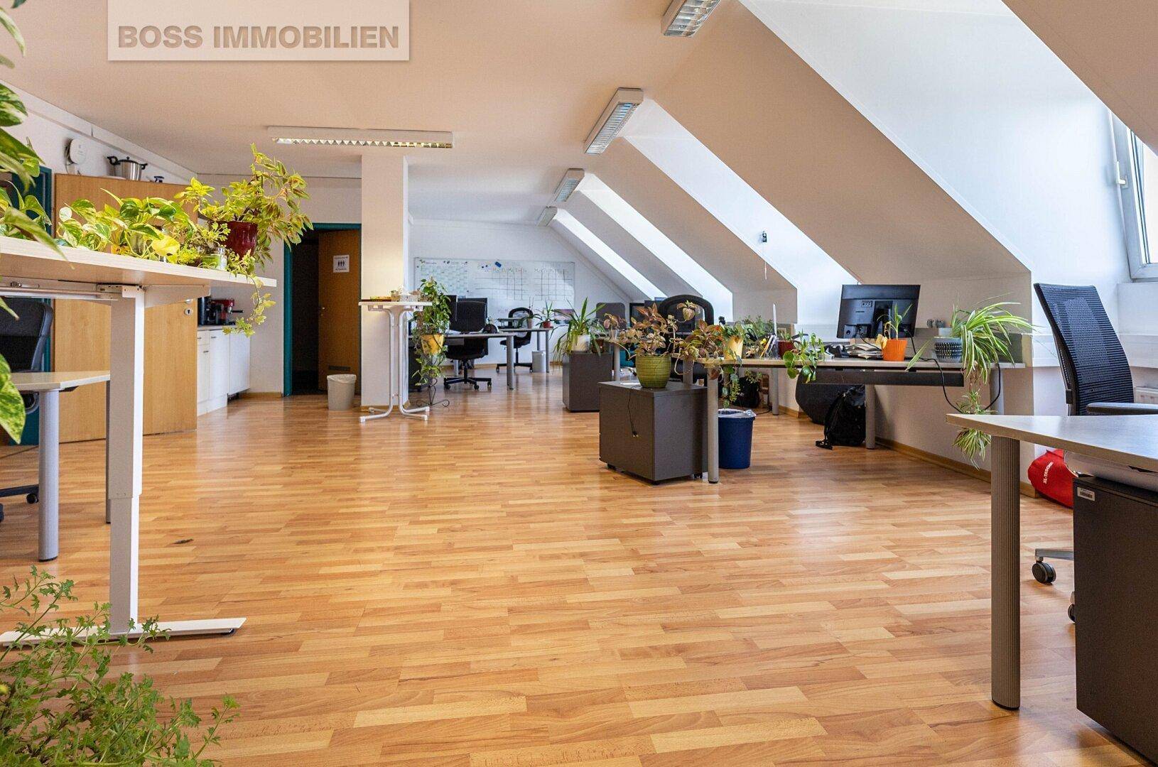 Helles und offenes Büro im Dachgeschoss mit Holzfußboden, mehreren Schreibtischen und grünen Pflanzen.