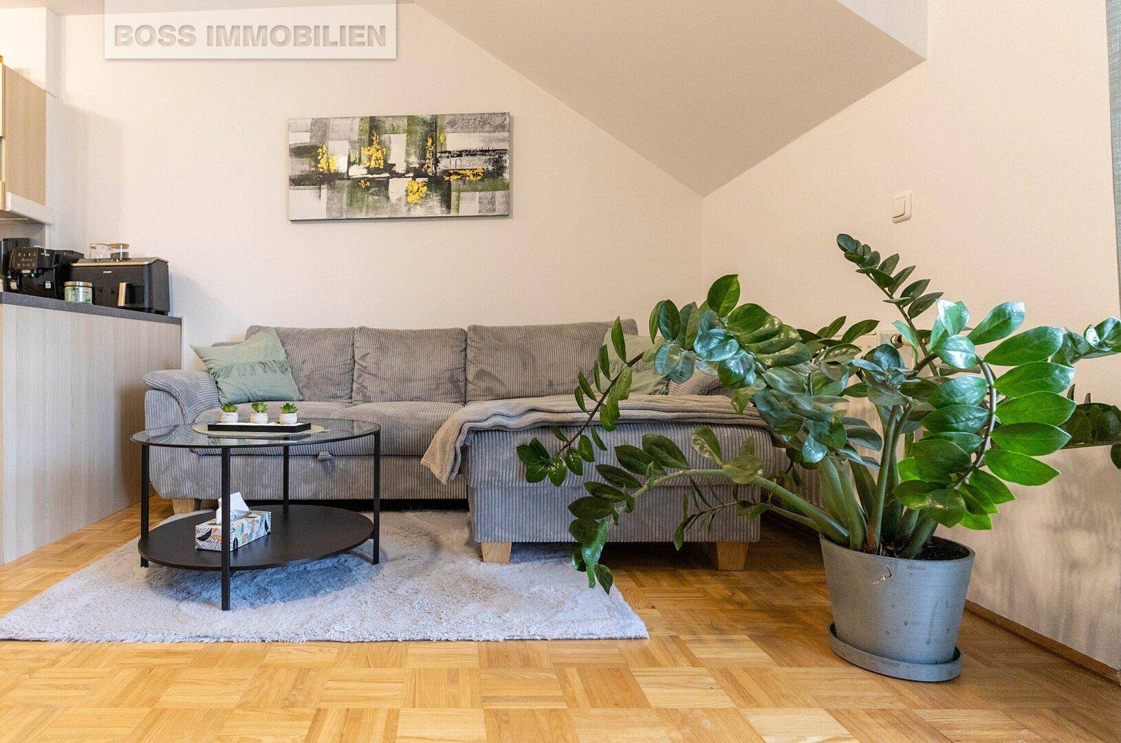 Gemütliches Wohnzimmer mit Ecksofa, Couchtisch und einer großen Zimmerpflanze auf Parkettboden.