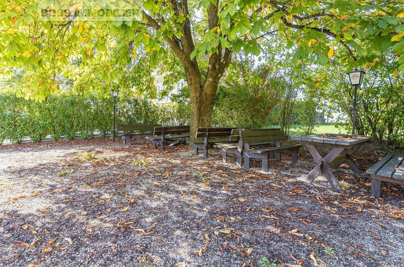 Gemütlicher Biergartenbereich mit Holzbänken und Tischen unter schattenspendenden Bäumen.