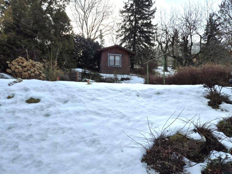 Weitläufiger, verschneiter Gartenbereich mit einem kleinen Holzhaus im Hintergrund und Bäumen.