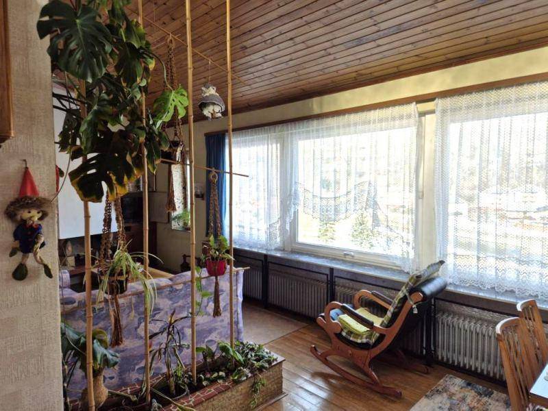 Heller Wohnbereich mit großen Fenstern, Holzdecke und einem Schaukelstuhl, umgeben von Pflanzen.