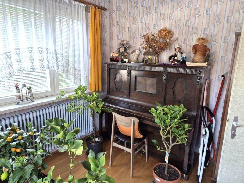 Helles Zimmer mit antikem Klavier, vielen Pflanzen und gemusterter Tapete, mit großem Fenster.