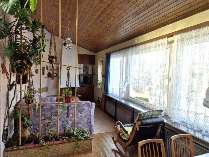 Heller Wohnbereich mit großen Fenstern, Holzdecke und einem Schaukelstuhl, umgeben von Pflanzen.