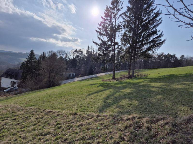 Sonniges Wiesengrundstück mit hohen Nadelbäumen und Blick auf die umliegende Landschaft.