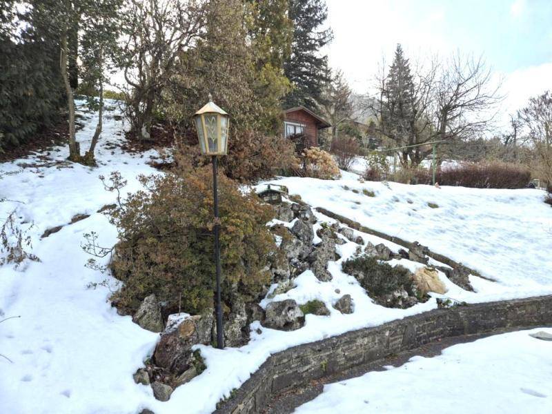 Verschneiter Gartenbereich mit alter Laterne, Steinen und Bäumen, umgeben von Natur.