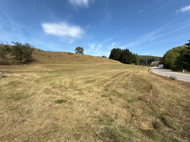 IMG-20260816-WA0006
