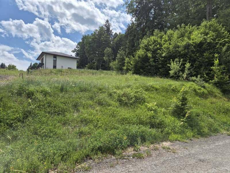 Grundstück mit leichter Hanglage, umgeben von Wald und einem Wohnhaus im Hintergrund.
