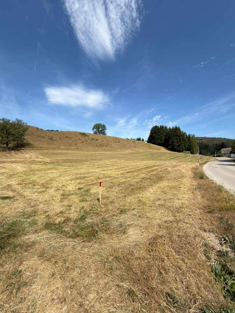 IMG-20260816-WA0004