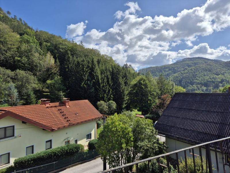 Panoramablick vom Balkon auf bewaldete Hügel und benachbarte Häuser unter blauem Himmel.