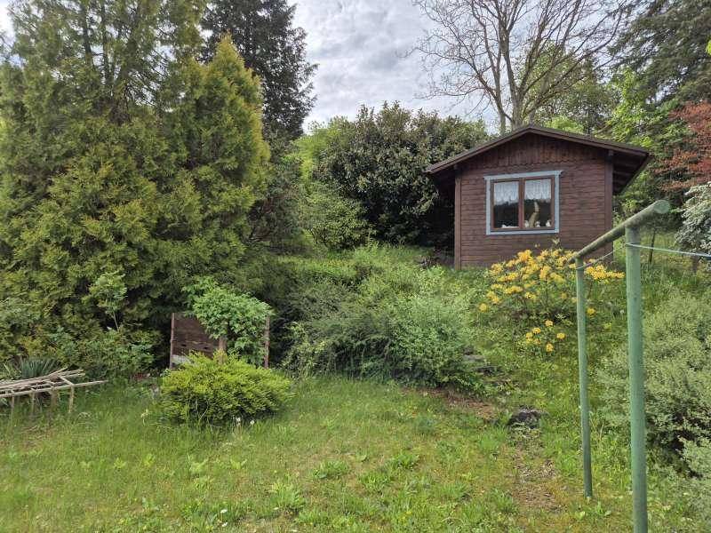 Naturbelassener Gartenbereich mit kleinem Holzschuppen und üppiger Vegetation.