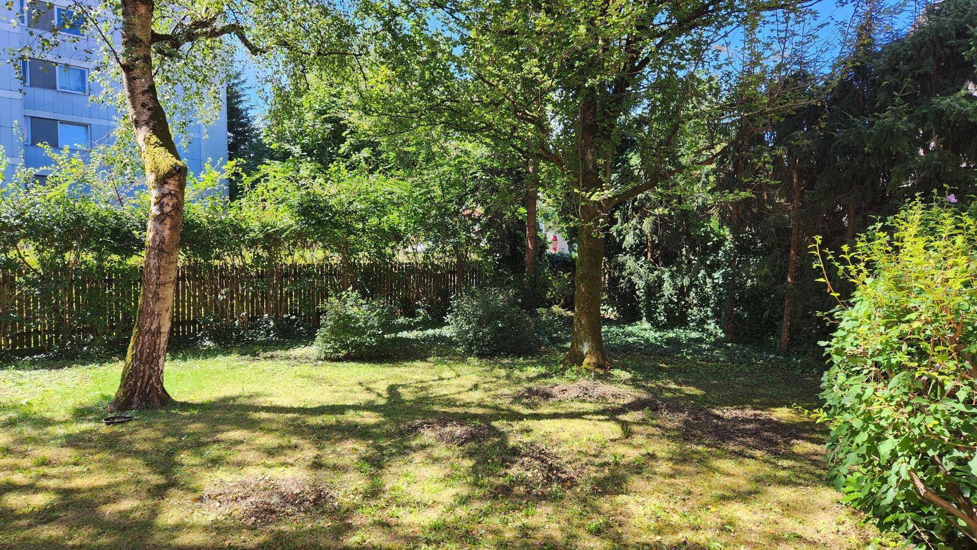 Sonniger Garten mit altem Baumbestand und viel Grünfläche, umgeben von einem Holzzaun.