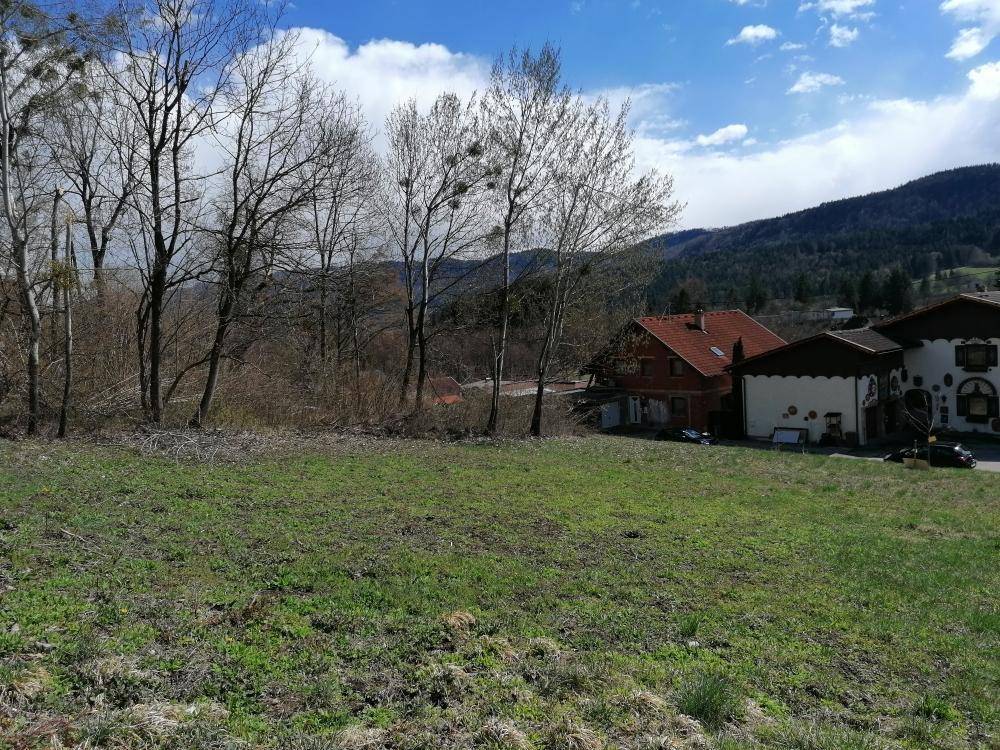 Grünes Grundstück mit kahlen Bäumen im Vordergrund und Wohnhäusern vor einer Bergkulisse.