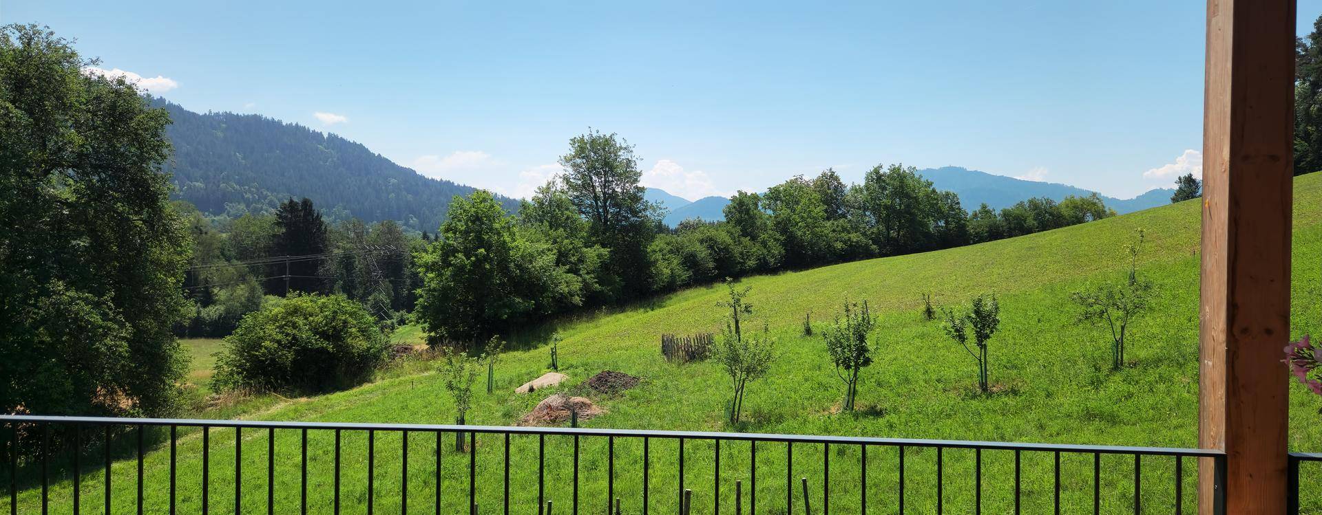 Malerischer Ausblick vom Balkon auf eine sanfte grüne Hügellandschaft mit Bäumen.