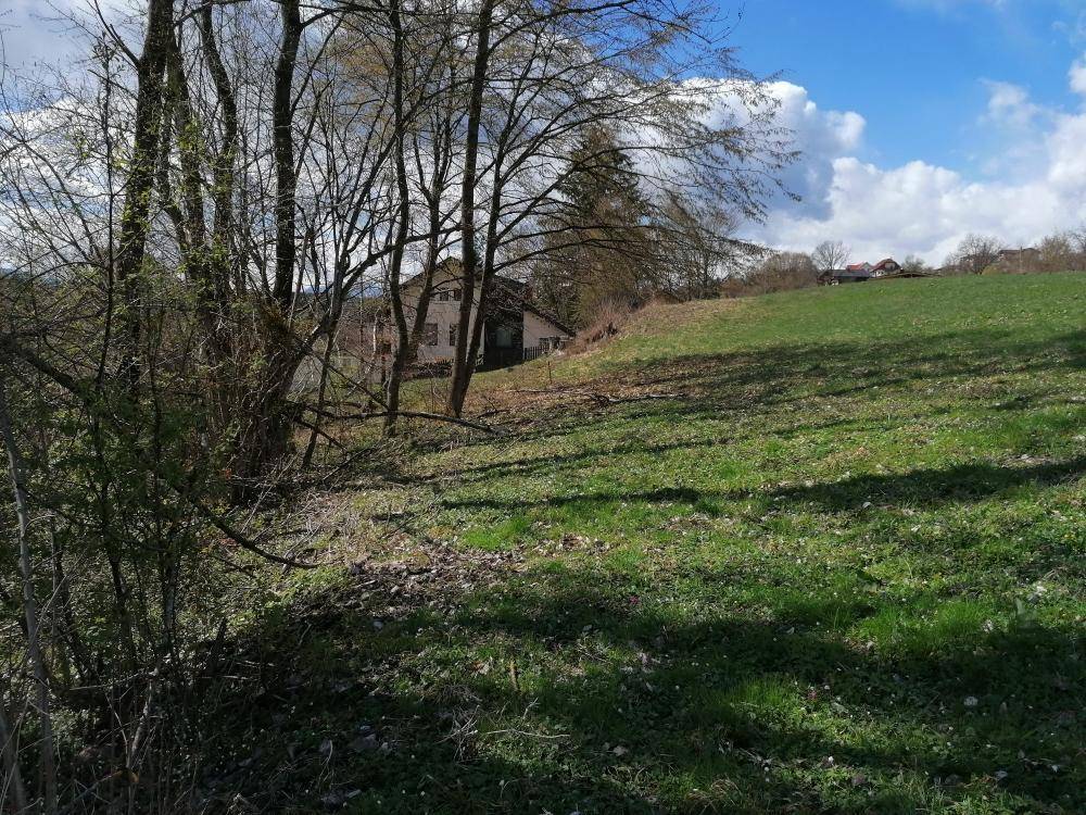 Weitläufiges grünes Grundstück mit Bäumen und einem Haus in der Ferne unter einem bewölkten Himmel.