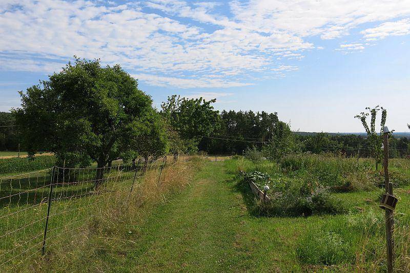 Weitläufige ländliche Landschaft mit grünen Feldern und Bäumen unter einem weiten Himmel, bietet eine ruhige Aussicht.