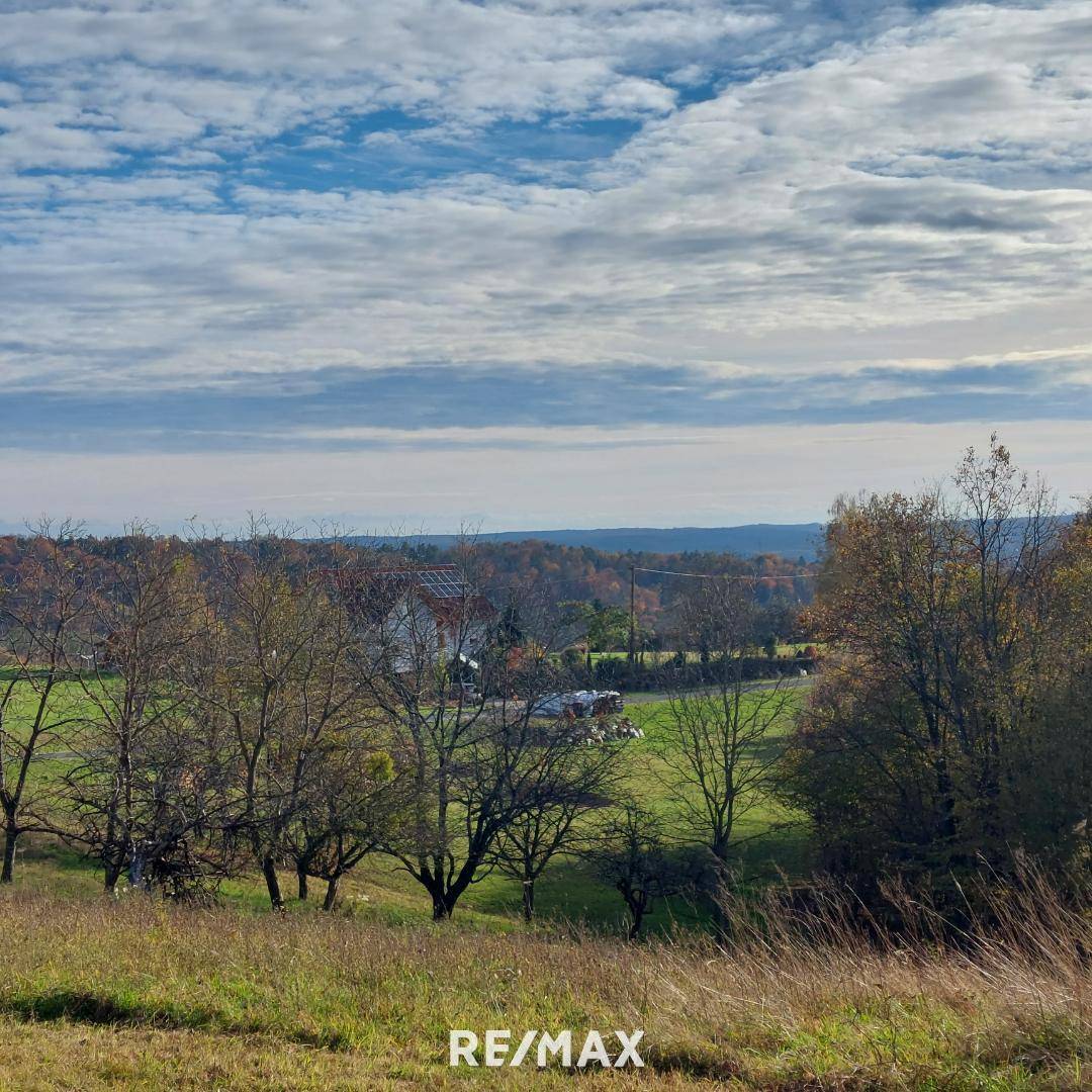 Grünblick