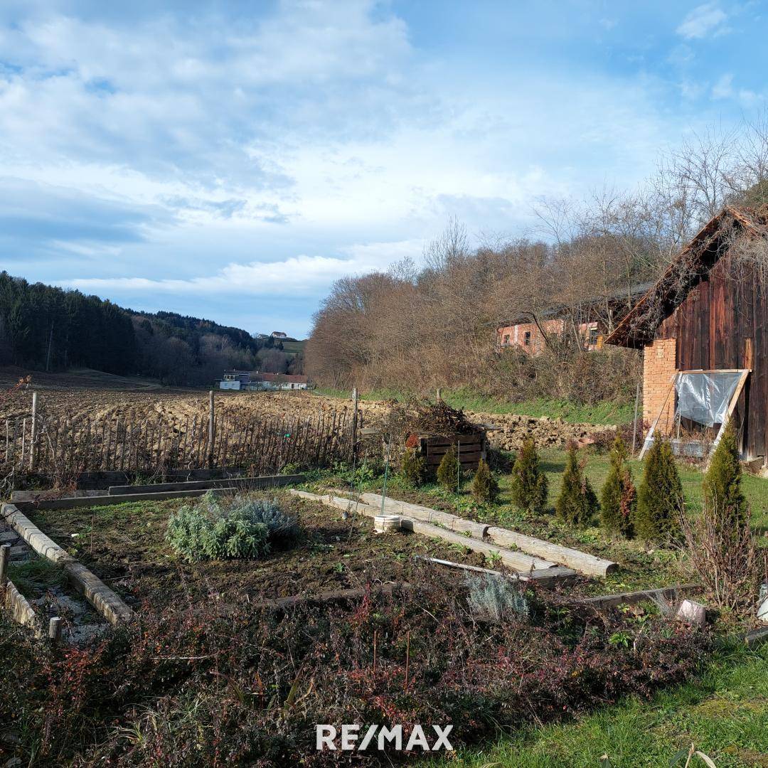 Gemüsegarten im Winterschlaf