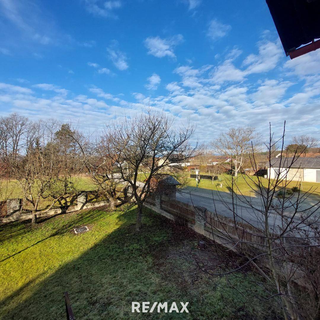 Gartenblick aus dem Fenster