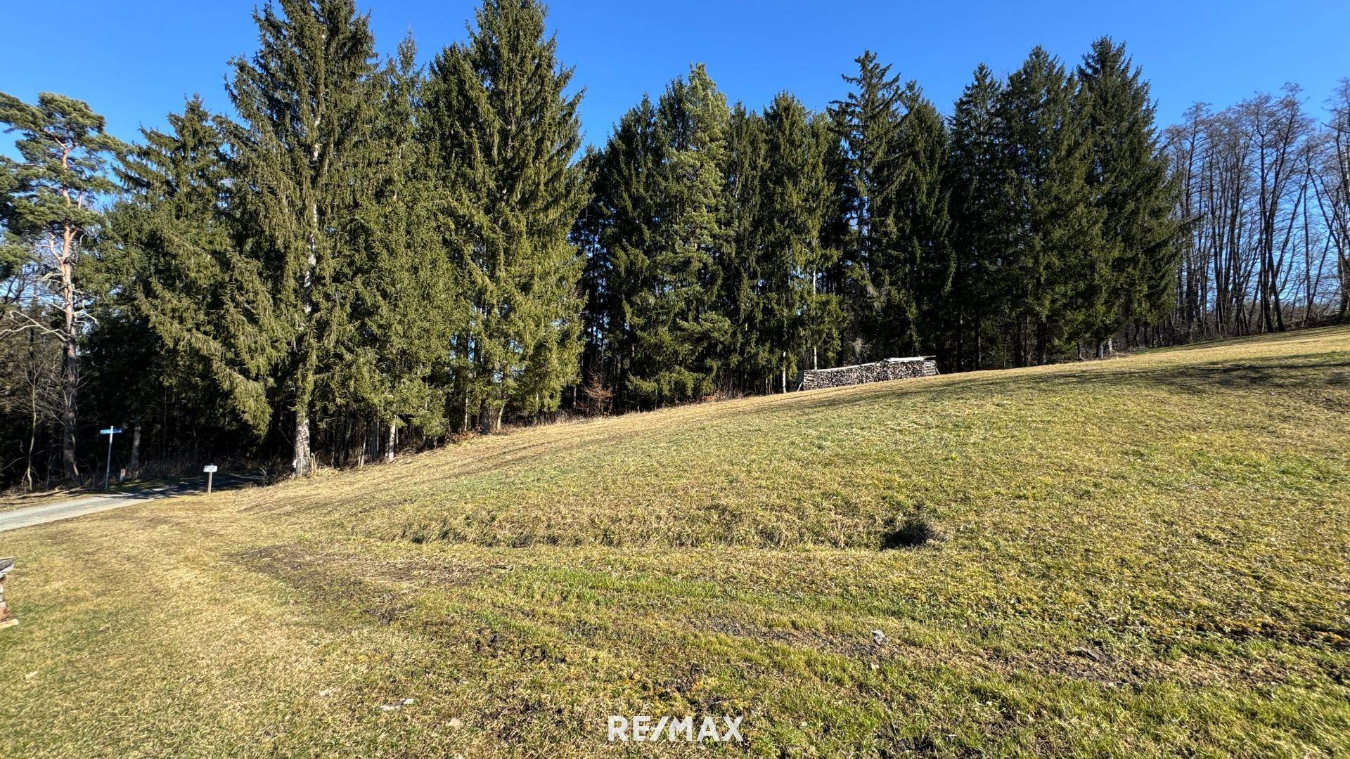 Blick Richtung Osten zum Wald