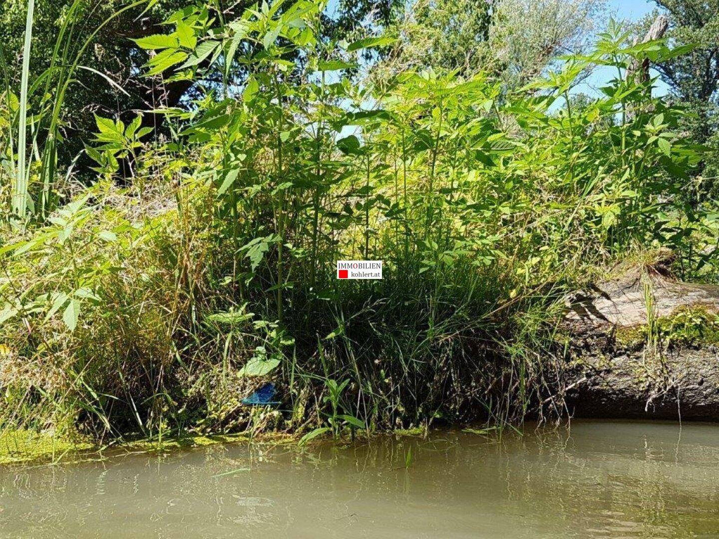 Slide 32