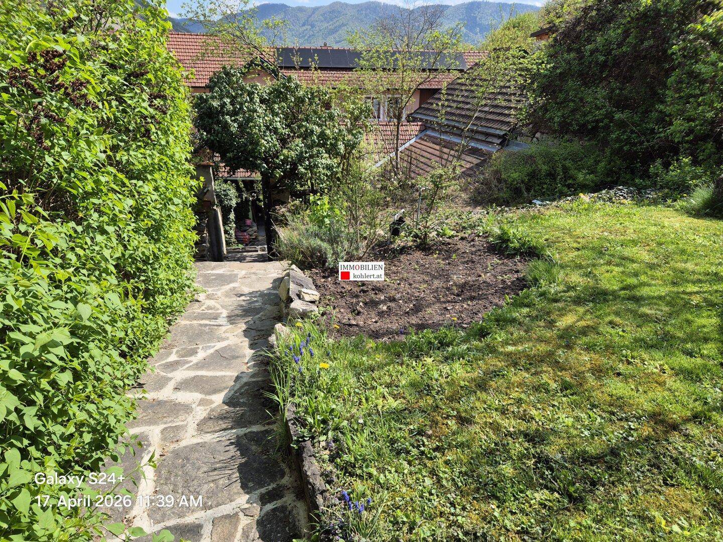 Gepflegter Gartenweg aus Steinplatten, umgeben von Rasen und Sträuchern.