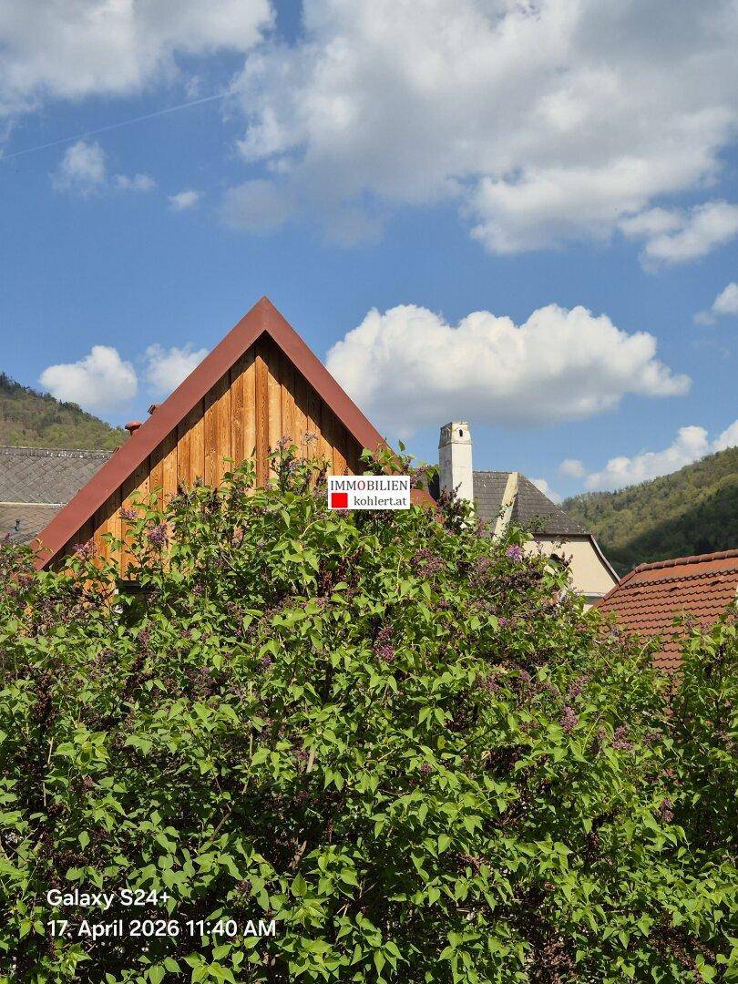 Giebel des Hauses mit Holzverkleidung, umgeben von üppigem Grün und blauem Himmel.