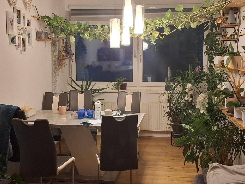 Essbereich mit modernem Esstisch, Stühlen und üppigen Zimmerpflanzen vor einem Fenster mit Blick ins Grüne.