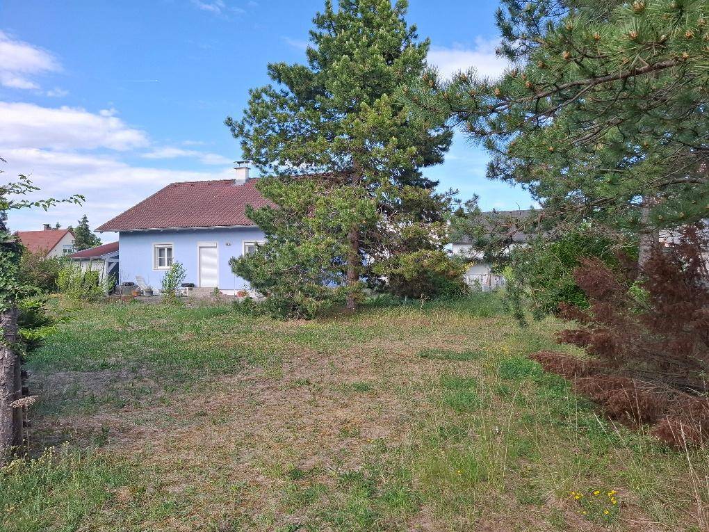 Blaues Haus mit rotem Dach, umgeben von einem großen, sonnigen Grundstück mit hohen Bäumen.