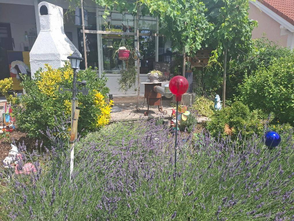 Blühender Gartenbereich mit Lavendel, Gartenzwergen und Blick zur überdachten Terrasse.