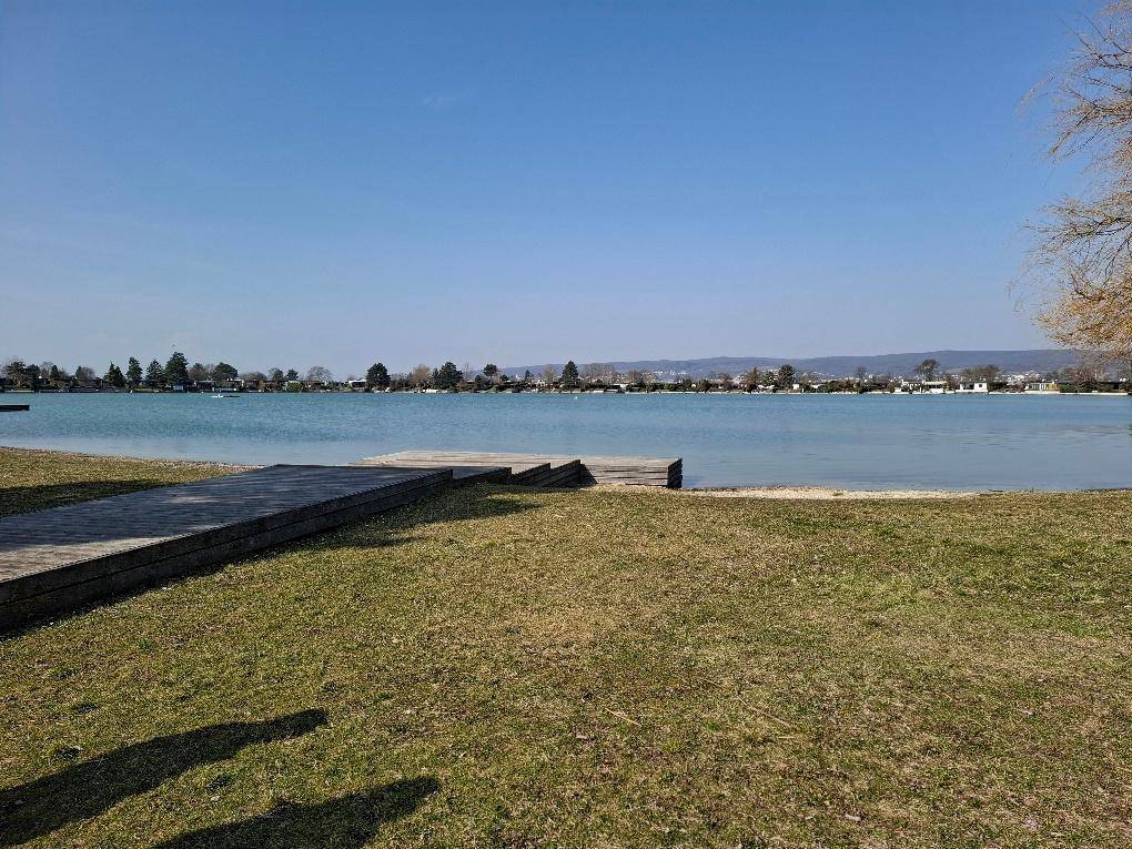 Blick auf den See von einer grünen Wiese mit Holzsteg unter blauem Himmel.
