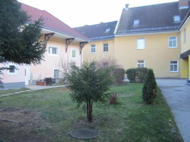 Ruhiger Gartenbereich im Innenhof mit Rasen und jungen Bäumen, umgeben von Gebäuden.